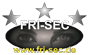 FRI-Sec Sicherheitsdienst Logo